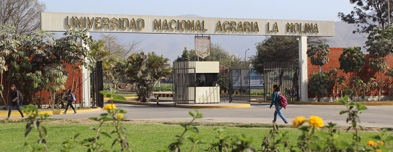 la molina. mejores universidades del peru
