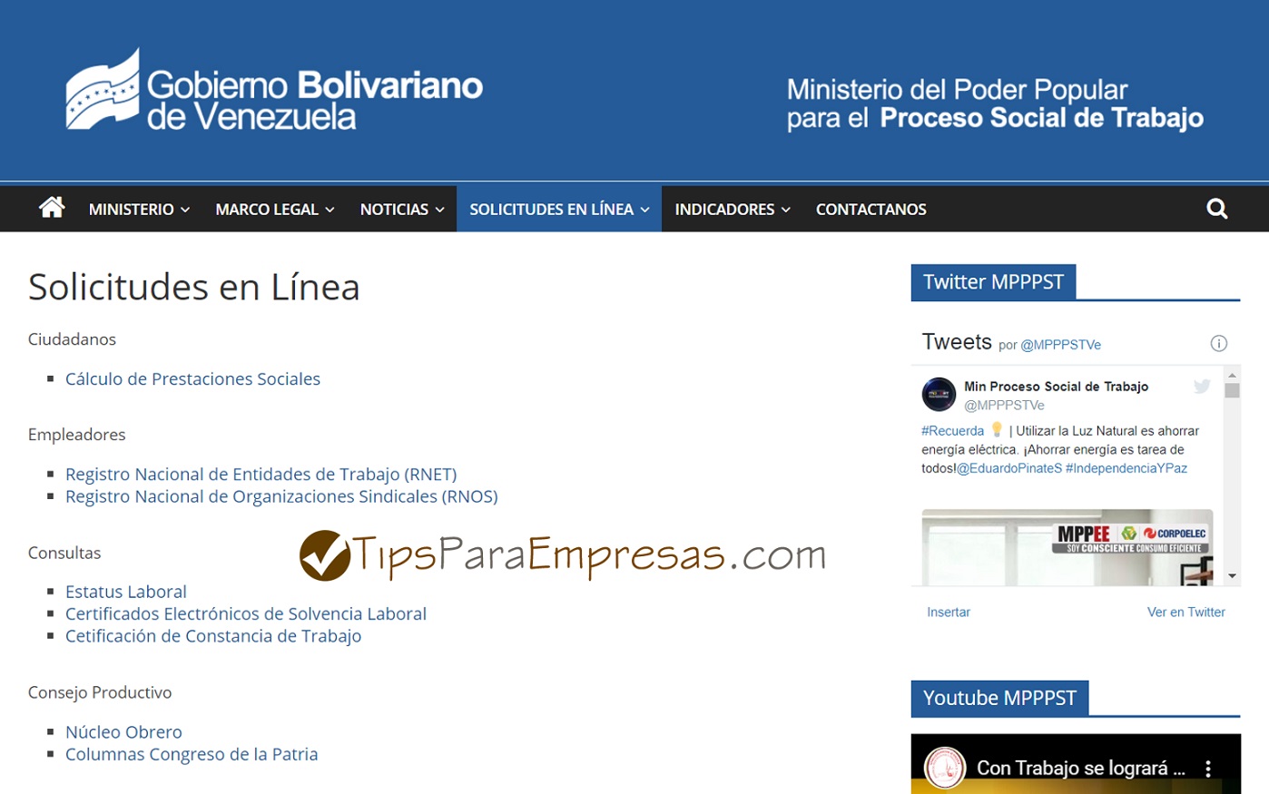 solvencia laboral para empresas en linea